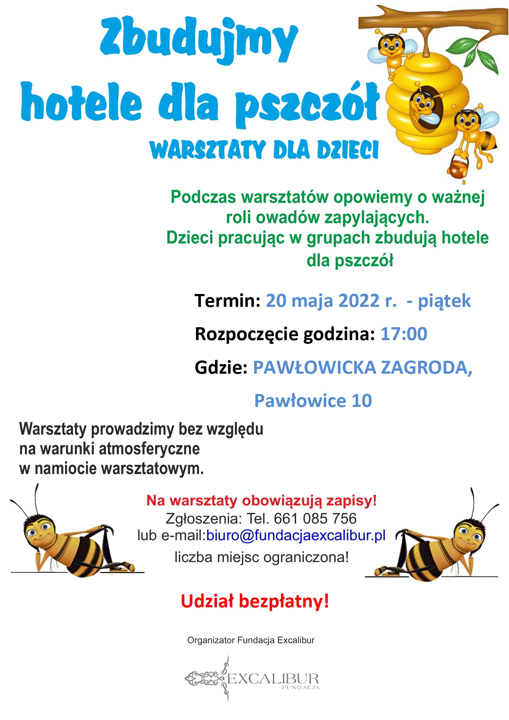 Zbudujmy hotele dla pszczół - warsztaty dla dzieci i młodzieży
